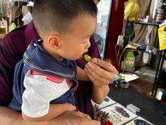 -马陆小张葡萄园农家乐