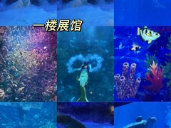 -海合安青岛极地海洋公园