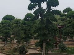 -武汉紫薇都市田园