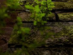 -金堂县云顶石城风景区