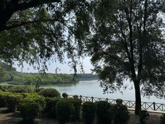 -丁香湖公园