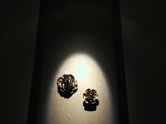 -Dragonfly悠庭·按摩Spa(浦东嘉里城店)