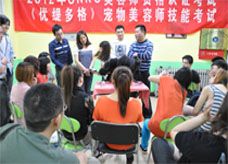 -优缇多格专业宠物美容师培训学校
