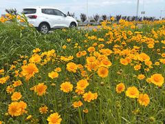 -养马岛旅游度假区