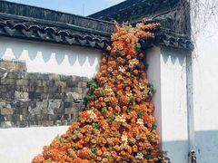 -青果巷历史文化街区