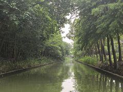 -上海长兴岛郊野公园