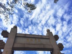 -广州神农草堂中医药博物馆