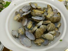 -俏东方·海味水饺·青岛菜(崂山店)