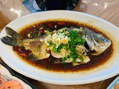 -洲晓鲜·舟山海鲜大排档(朱家尖风景区店)
