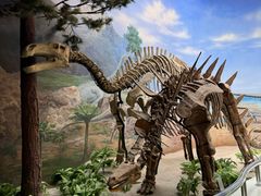 -延庆地质公园博物馆