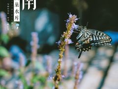 -黄巢水库