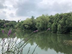 -长广溪湿地公园