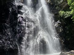 -马峦山郊野公园