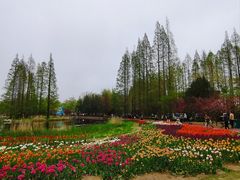 -大邱大包