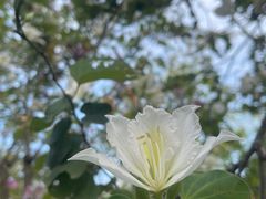 -四海公园(南山区)