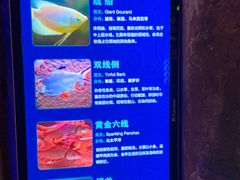 -波塞冬海底世界