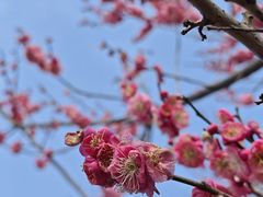 -花开海上生态园