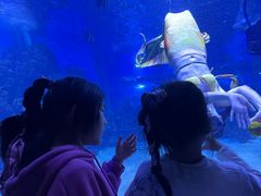 -顺德南宏海立方海洋公园