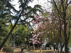 -后襄河公园