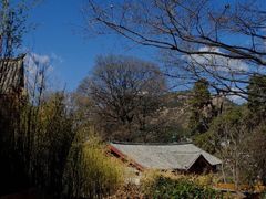 丽江安缦酒店-大研安缦酒店