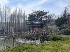 -湛山寺