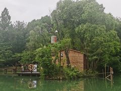 -西溪国家湿地公园