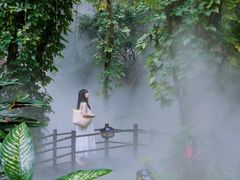 -呀诺达热带雨林
