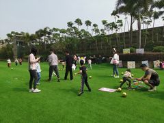 -广交会威斯汀酒店