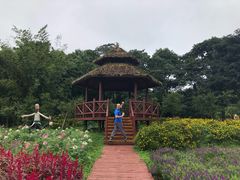 -广州市石门国家森林公园