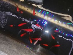 -pd派德宠物中心医院24H急重症·眼科中心·血液透析中心(嵩山北路店)