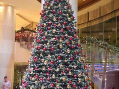 -厦门喜来登酒店