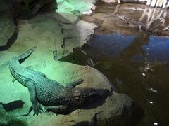 -沙沙哗啦海洋馆(华宇百花谷店)