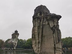 -鲁镇