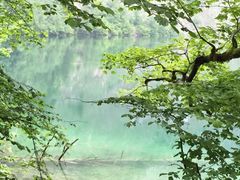 景点-柯尼希湖