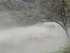 -北京植物园南门售票处