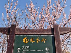 -北京凤凰岭
