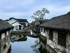 -鲁镇