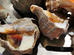 -蓝珊甄选海鲜自助·火锅大排档(近阿那亚店)