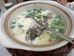 -紫藤园·天目湖大鱼头(南山竹海店)