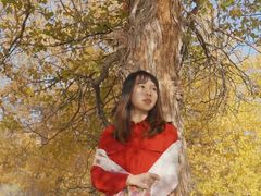 -金塔沙漠胡杨林景区