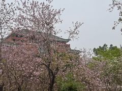 -华农酸奶文化馆