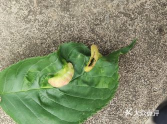 隐隐飞桥隔野烟，石矶西畔问渔船