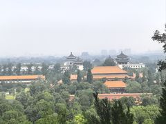 -眉州东坡(民族园店)