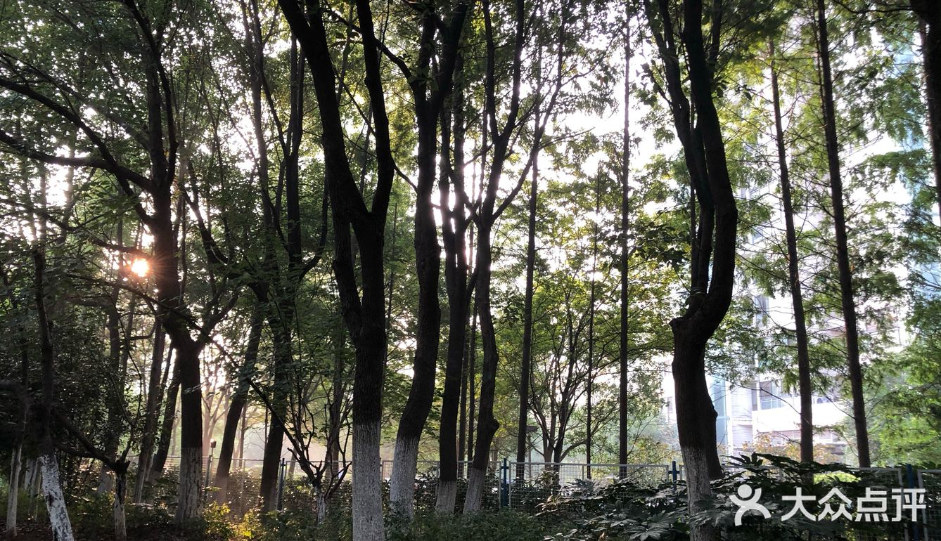 周日一早，跑个步，刷个卡