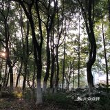 周日一早，跑个步，刷个卡