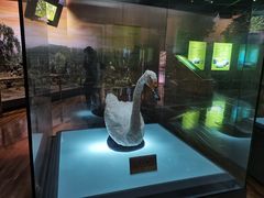 -陕西自然博物馆