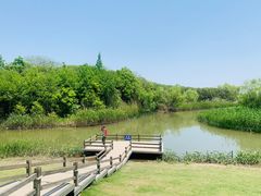-上海吴淞炮台湾国家湿地公园