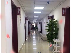 -河南省人民医院(院本部)