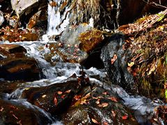 -叠溪松坪沟景区