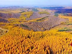 -塞罕坝国家级自然保护区